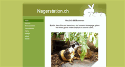 Desktop Screenshot of nagerstation.ch
